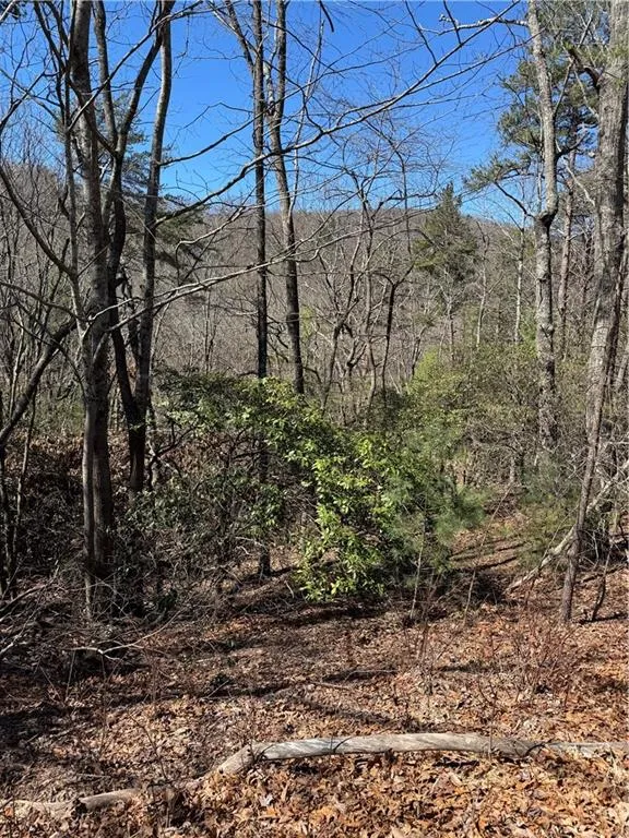 5504 Red Fox Drive Big Canoe, GA 30143