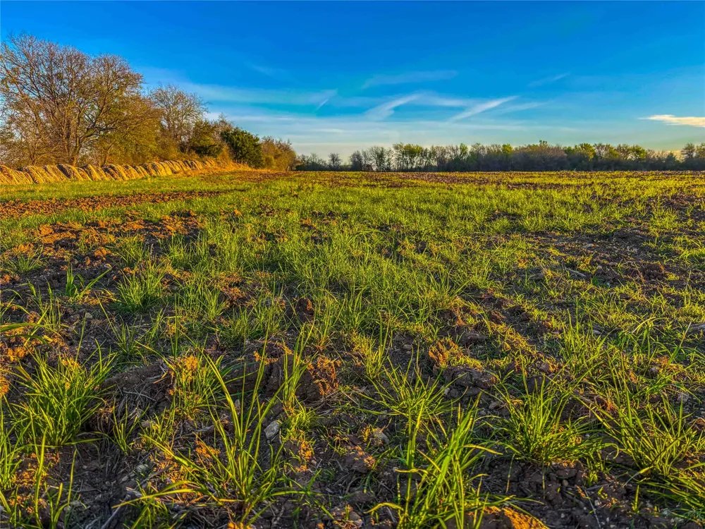 Ih 35 Troy, TX 76579