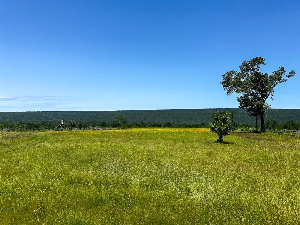 1 N 4220 Rd Antlers, OK 74536