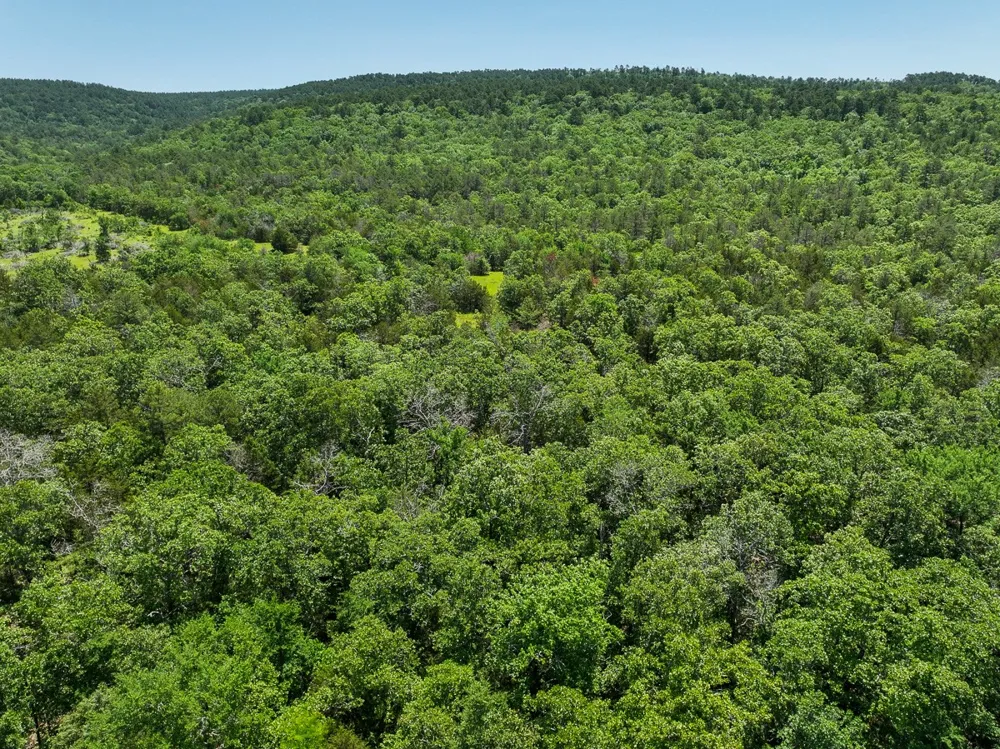 1 N 4220 Rd Antlers, OK 74536