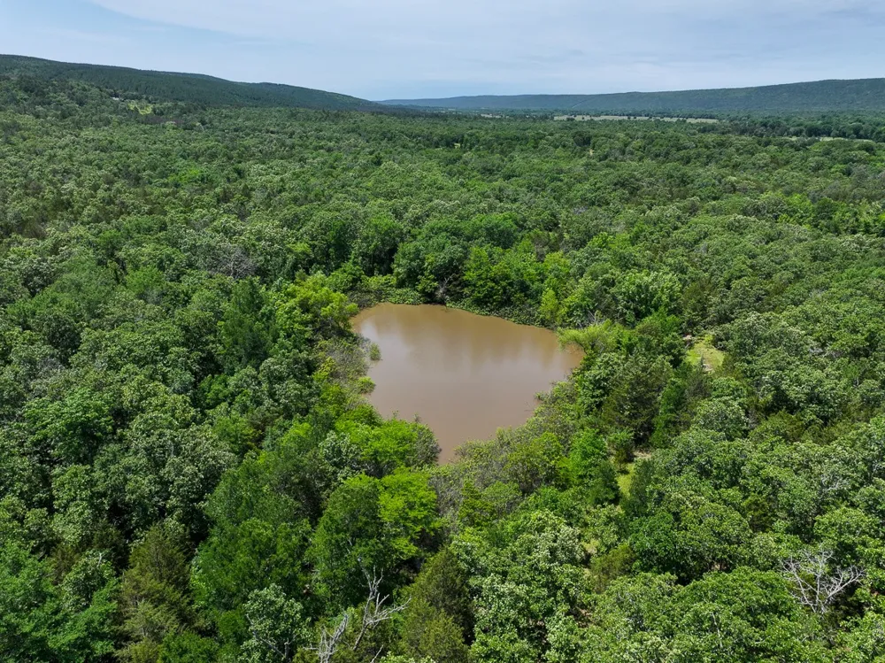 1 N 4220 Rd Antlers, OK 74536