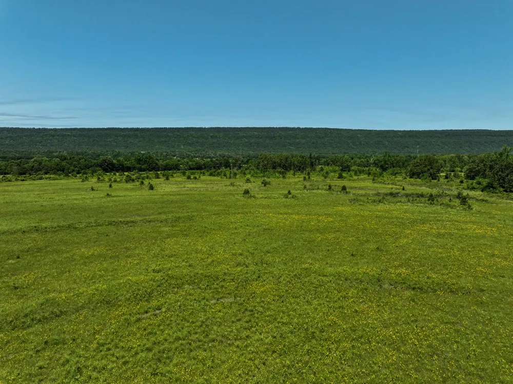 1 N 4220 Rd Antlers, OK 74536