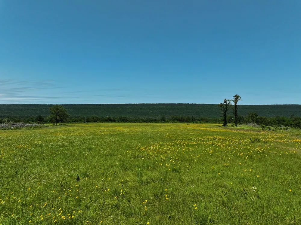 1 N 4220 Rd Antlers, OK 74536
