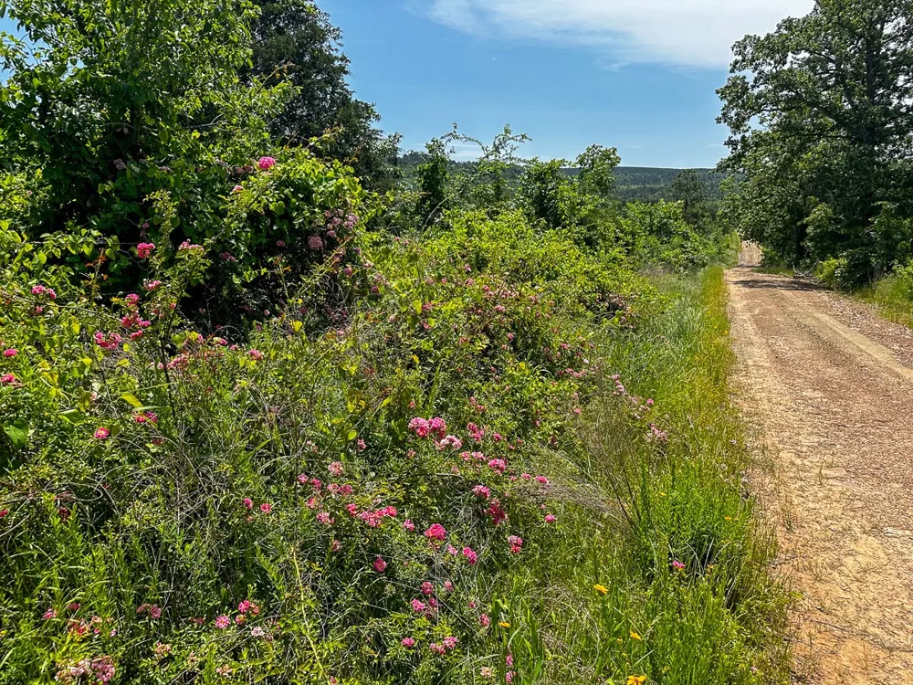1 N 4220 Rd Antlers, OK 74536
