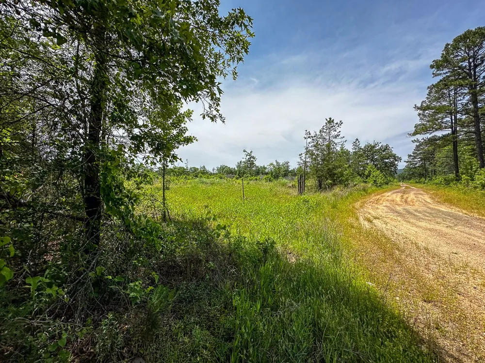 1 N 4220 Rd Antlers, OK 74536