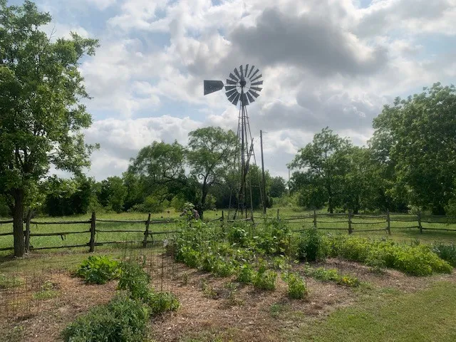 1695 Fm 2823 Carlton, TX 76436