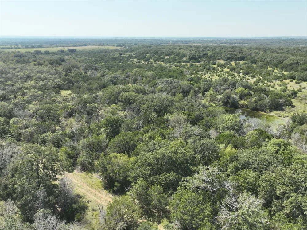 1695 Fm 2823 Carlton, TX 76436