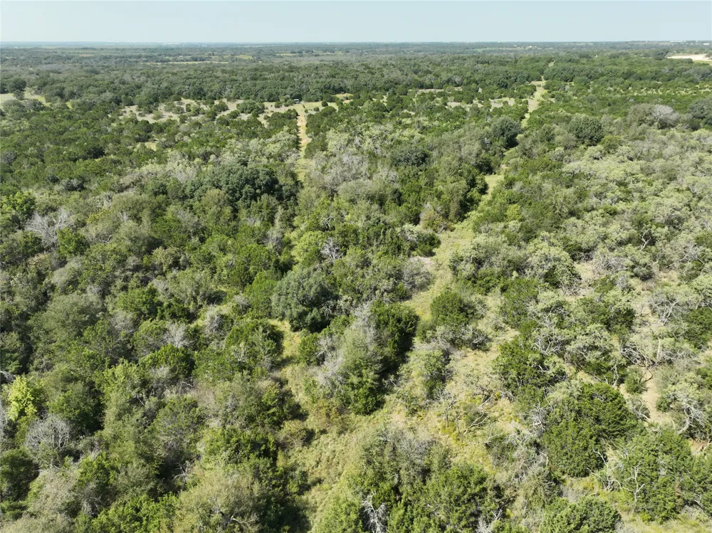 1695 Fm 2823 Carlton, TX 76436