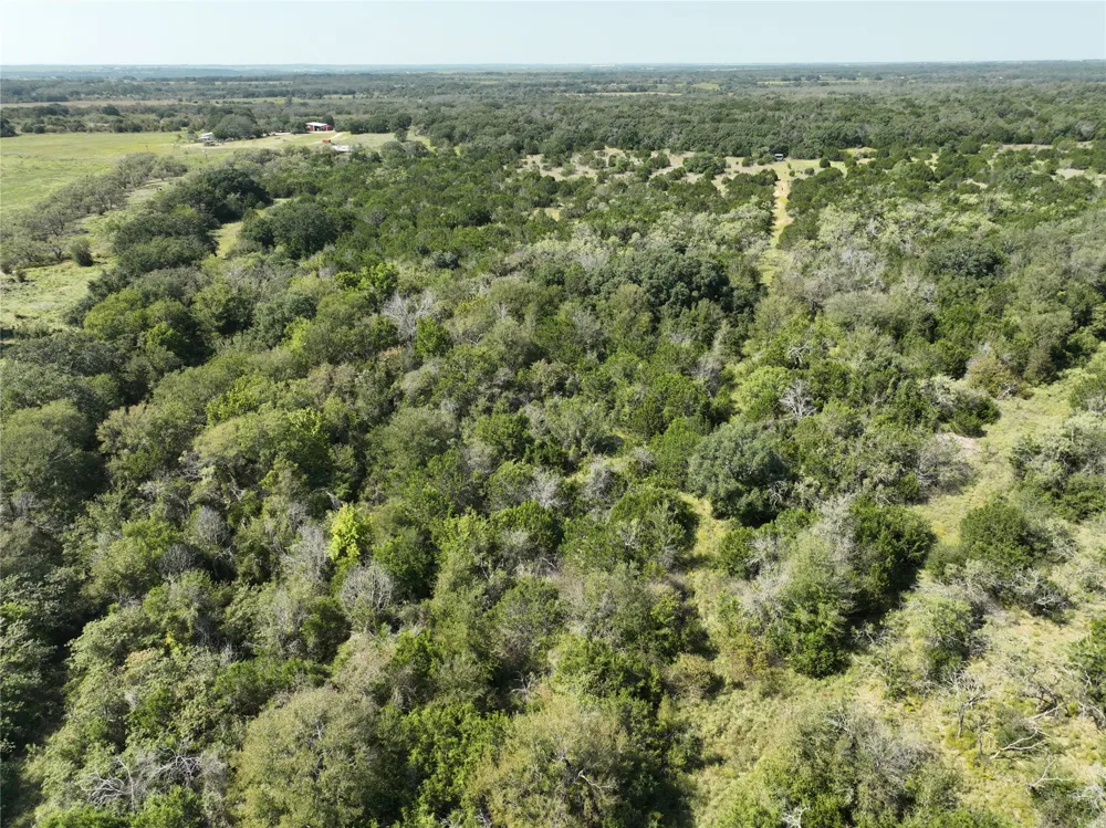 1695 Fm 2823 Carlton, TX 76436