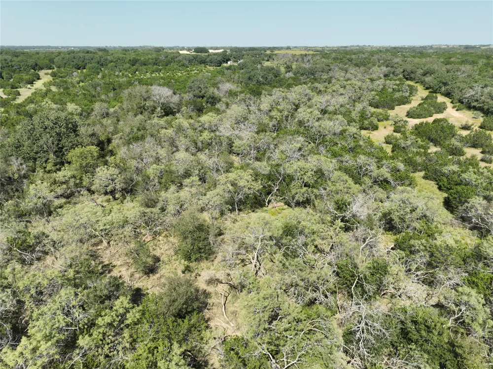 1695 Fm 2823 Carlton, TX 76436