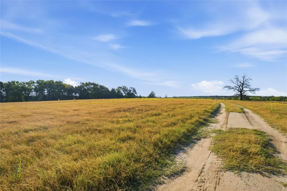 7335 CR 4710 Larue, TX 75770
