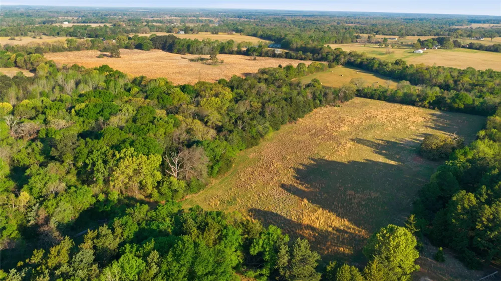 7335 CR 4710 Larue, TX 75770