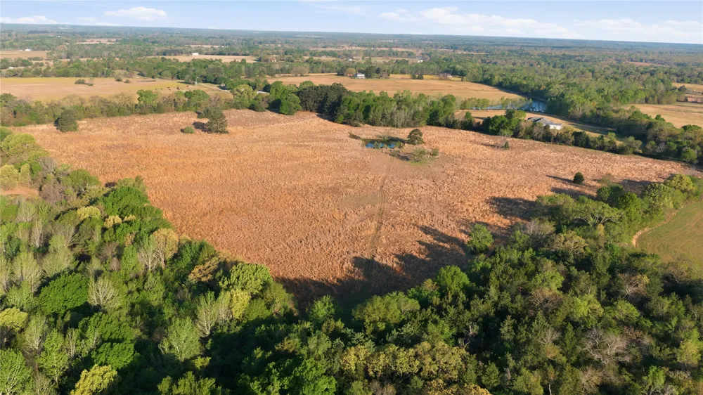 7335 CR 4710 Larue, TX 75770