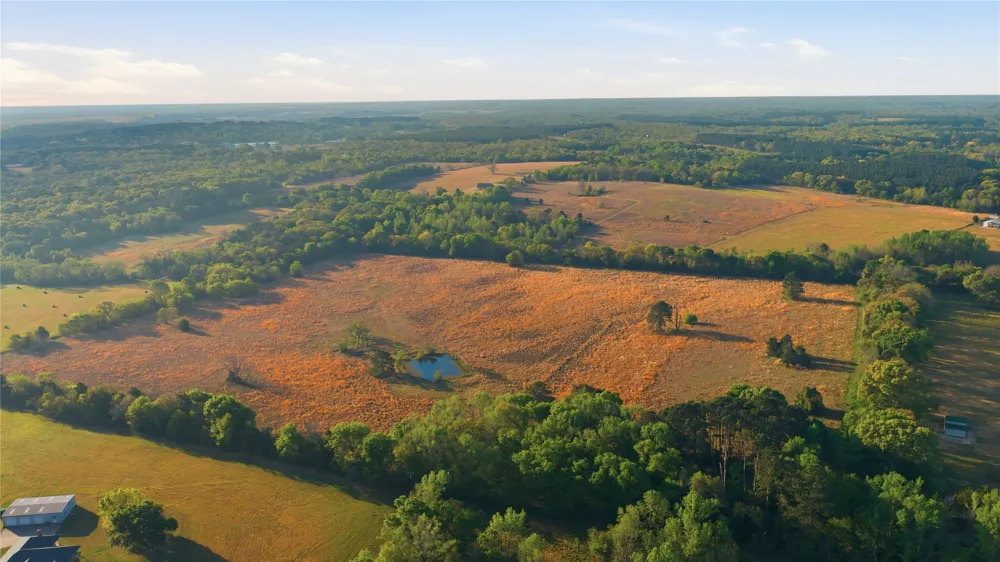 7335 CR 4710 Larue, TX 75770