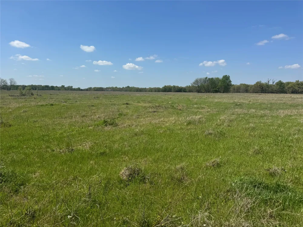 107 Hwy 37 Mount Vernon, TX 75457