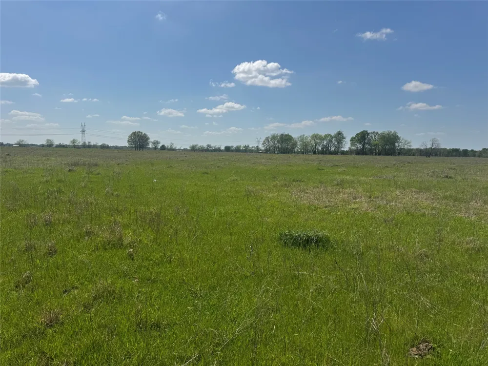 107 Hwy 37 Mount Vernon, TX 75457