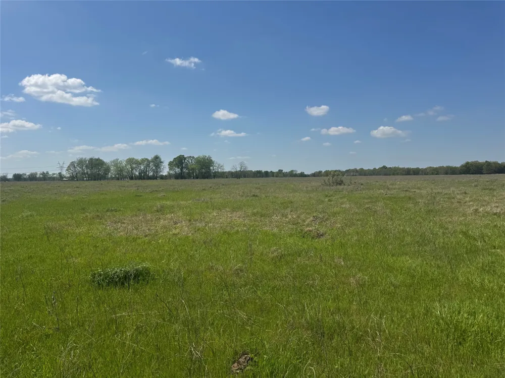107 Hwy 37 Mount Vernon, TX 75457