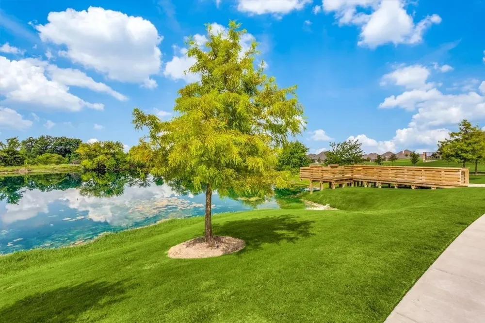 3323 Royal Ridge Drive Rockwall, TX 75087