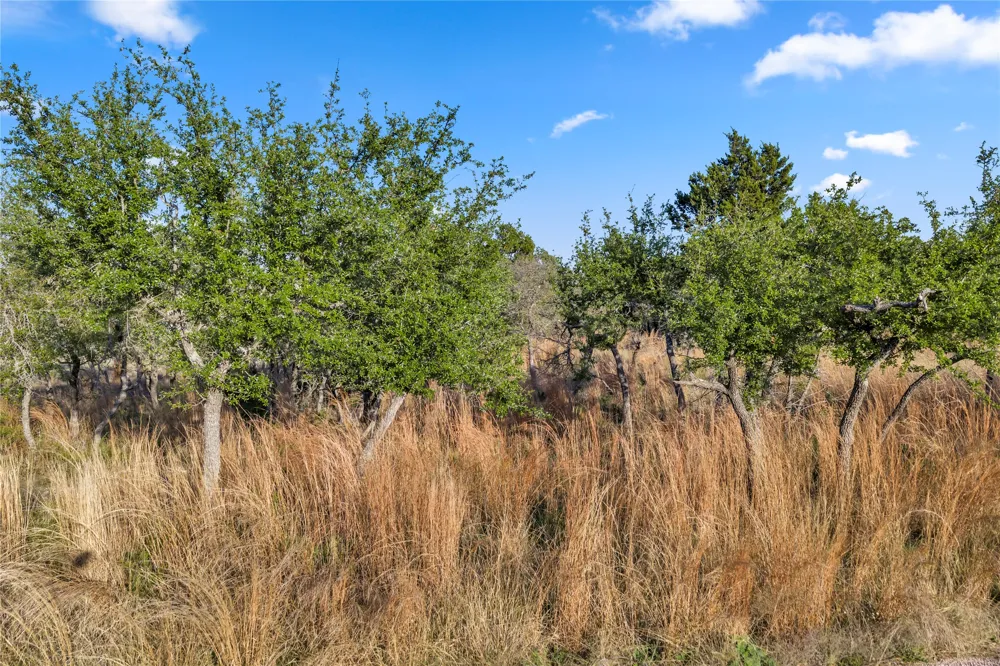 104 County Road 323A Liberty Hill, TX 78642