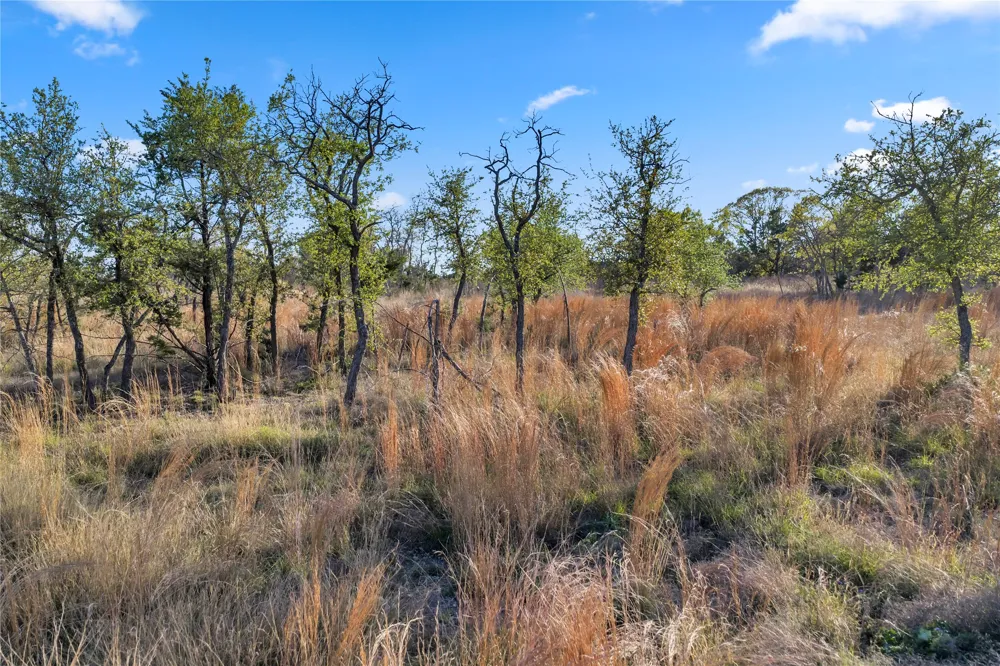 104 County Road 323A Liberty Hill, TX 78642