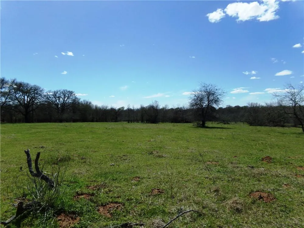 FM 619 Thrall, TX 76578