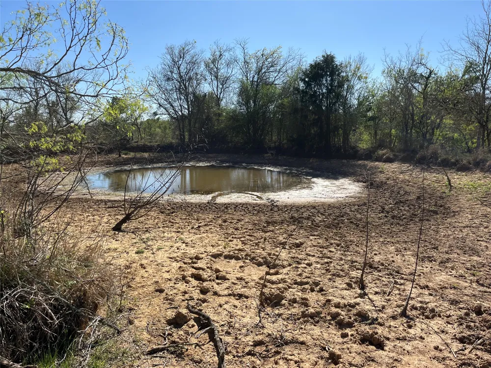 FM 619 Thrall, TX 76578