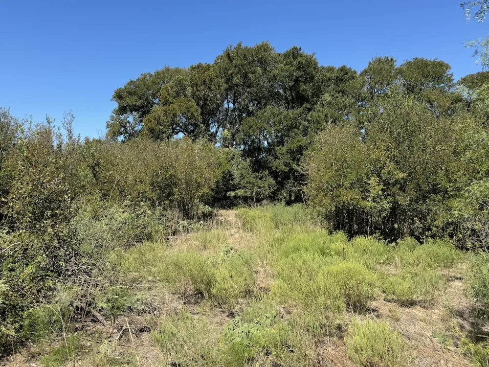 10 FM 2409 ROAD Temple, TX 76504