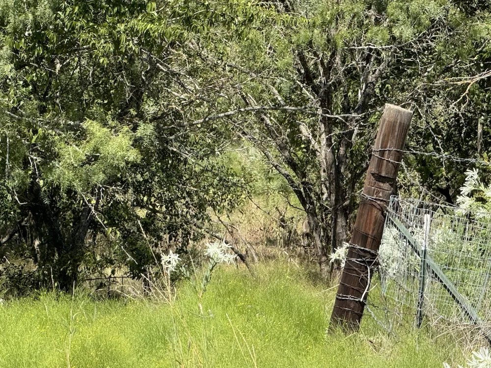 10 FM 2409 ROAD Temple, TX 76504