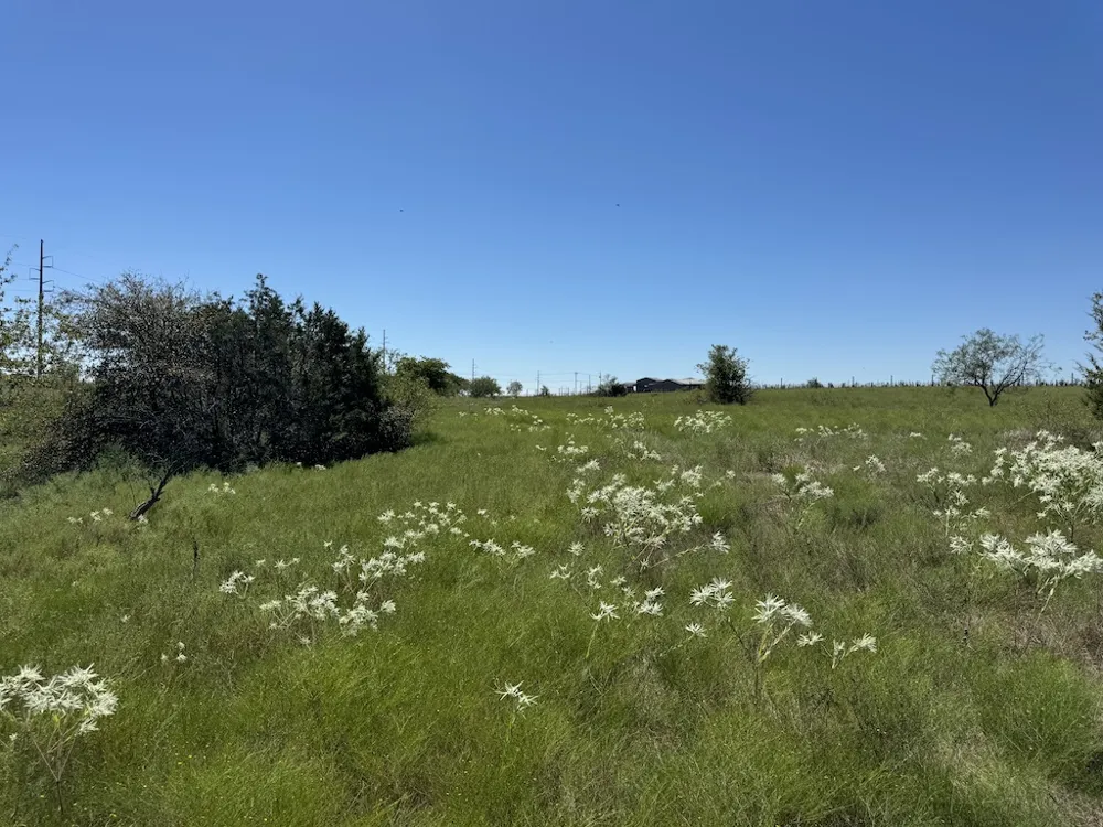 10 FM 2409 ROAD Temple, TX 76504