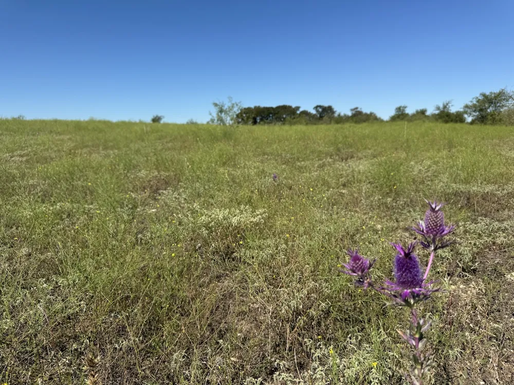 10 FM 2409 ROAD Temple, TX 76504