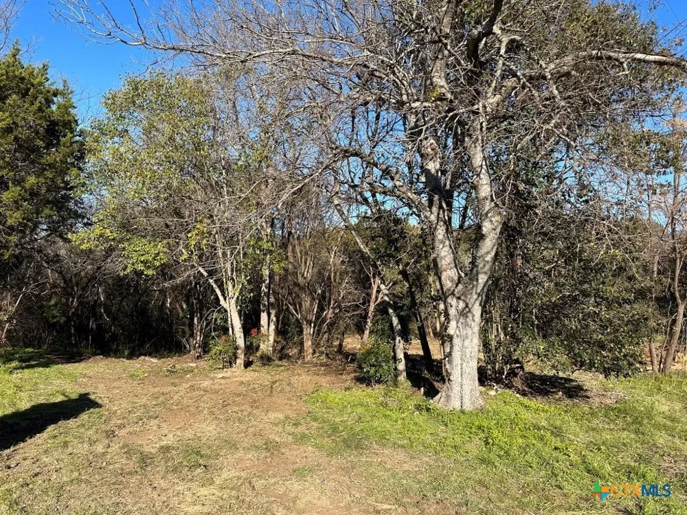 161 CR 1734 Clifton, TX 76634