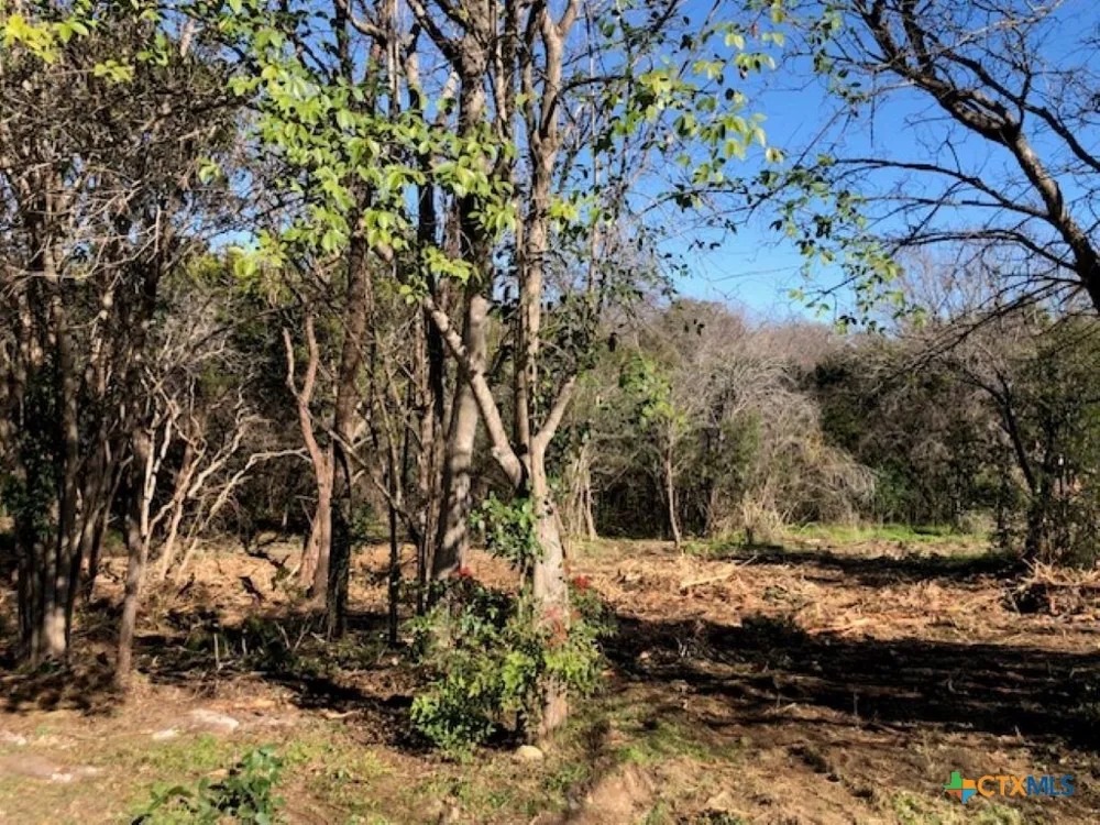 161 CR 1734 Clifton, TX 76634