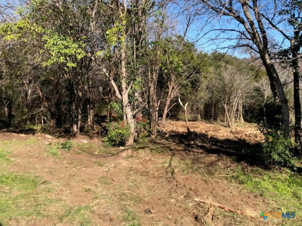 161 CR 1734 Clifton, TX 76634