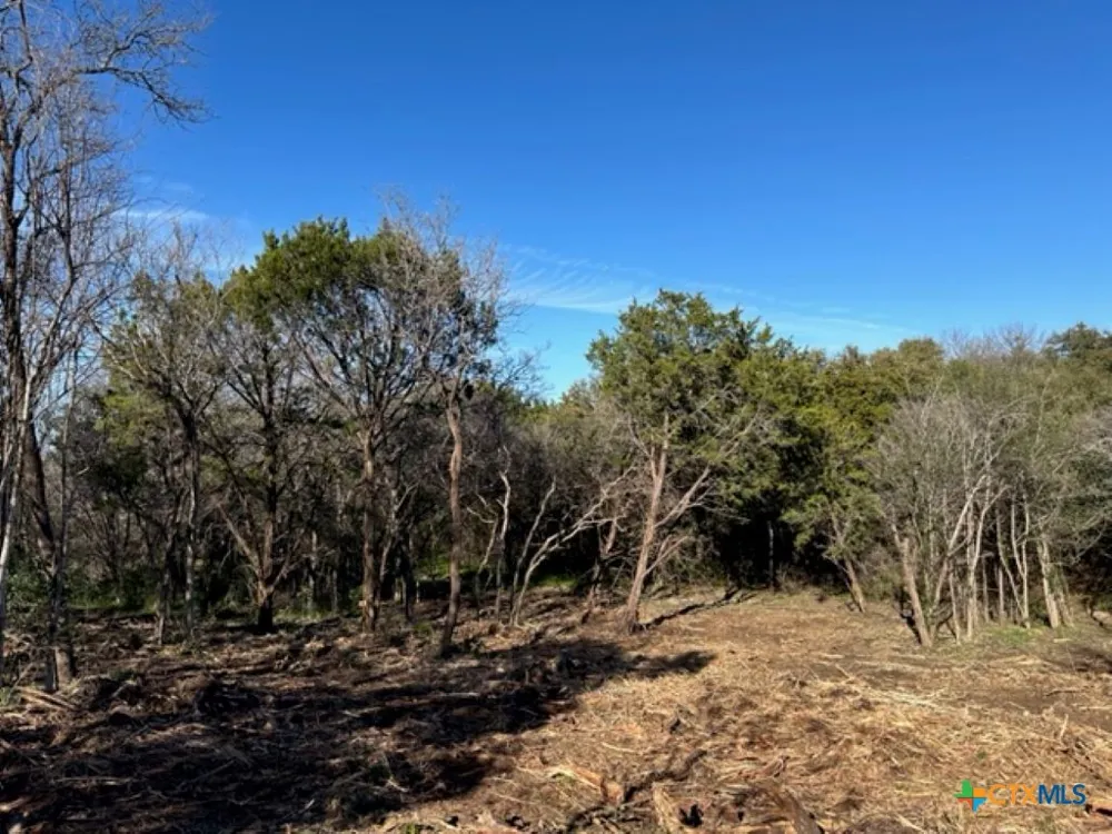 161 CR 1734 Clifton, TX 76634