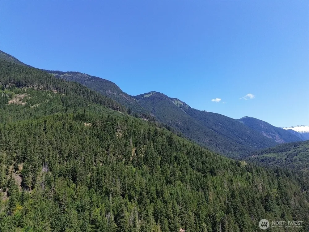0 Cascade River Rd #D1-203 Marblemount, WA 98267