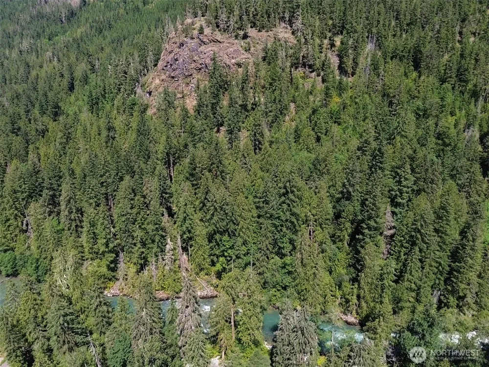 0 Cascade River Rd #D1-203 Marblemount, WA 98267