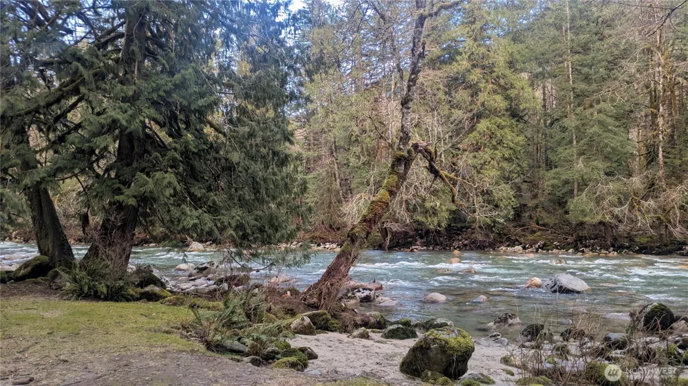 0 Cascade River Rd #D1-203 Marblemount, WA 98267