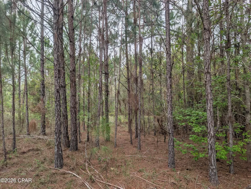 Sumac Road #Lot 49 Westville, FL 32464