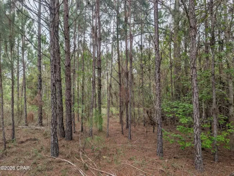 Sumac Road #Lot 49