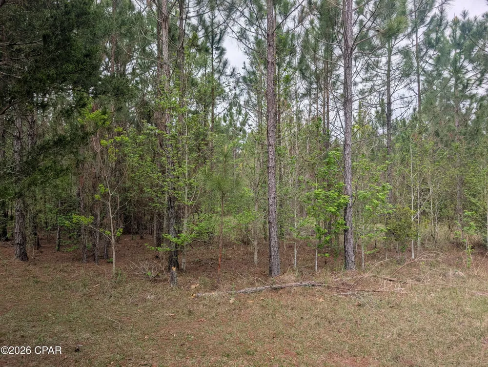 Sumac Road #Lot 49 Westville, FL 32464