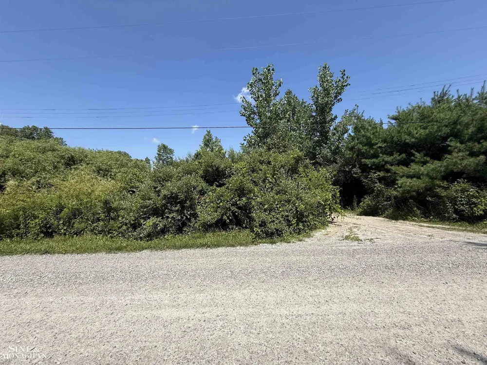 Wall Road Port Huron Charter Township, MI 48060