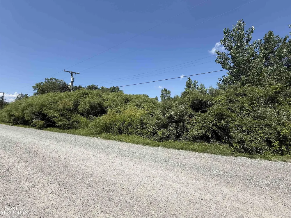 Wall Road Port Huron Charter Township, MI 48060