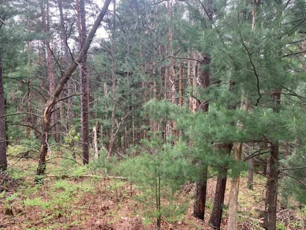 865 Wind Drift Drive Garfield Charter Township, MI 49684