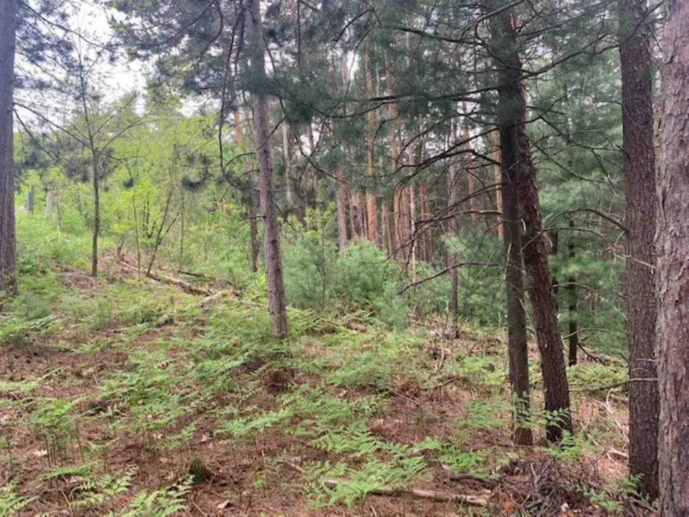 865 Wind Drift Drive Garfield Charter Township, MI 49684