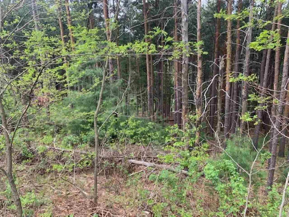 843 Wind Drift Drive Garfield Charter Township, MI 49684
