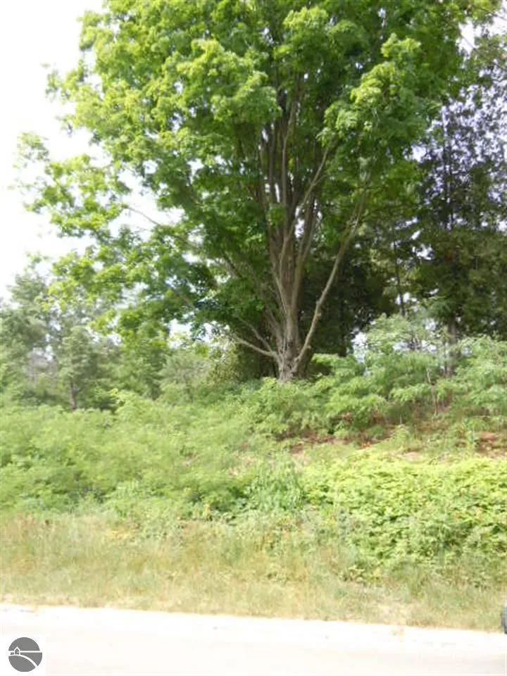 843 Wind Drift Drive Garfield Charter Township, MI 49684