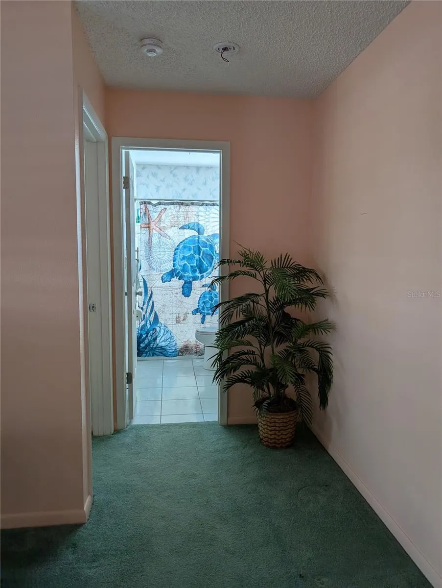 9204 36TH WAY #6 Pinellas Park, FL 33782