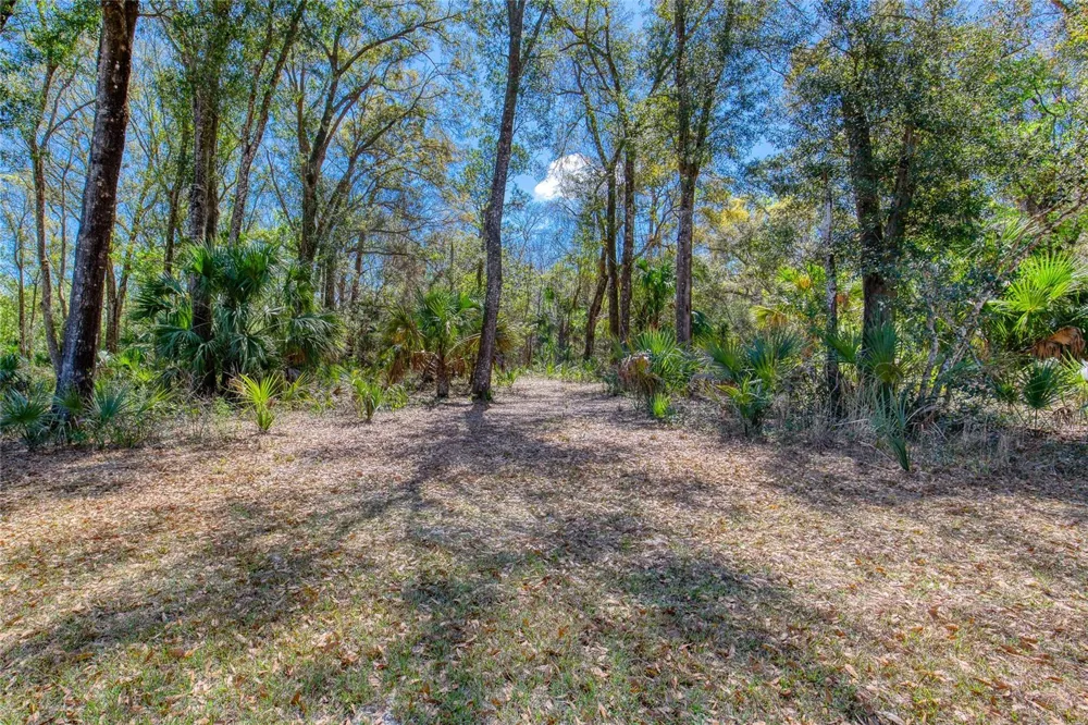 1805 ADRIAN CREEK BOULEVARD Port Orange, FL 32128