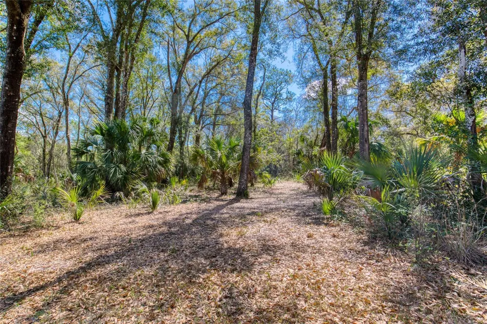 1805 ADRIAN CREEK BOULEVARD Port Orange, FL 32128