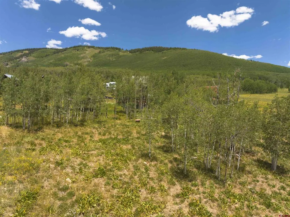 39 East Lane Crested Butte, CO 81224